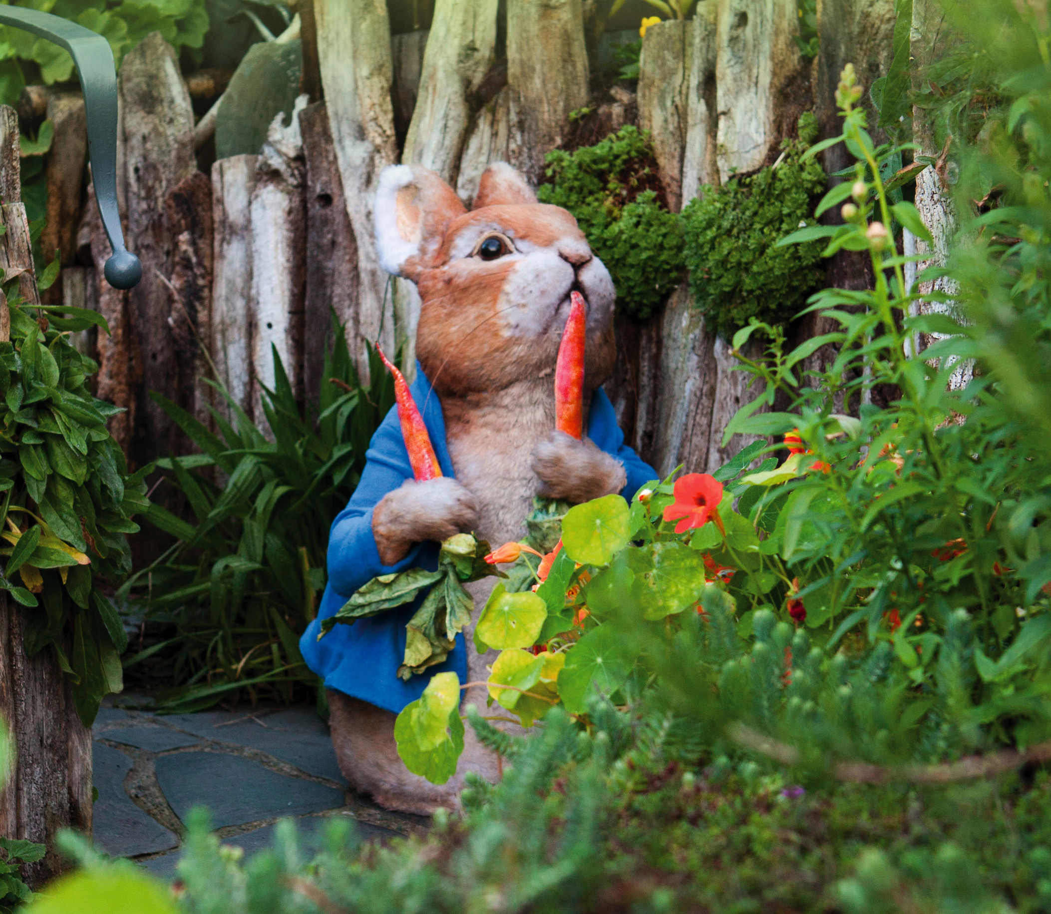 Lane Peter Rabbit Sona Tours Peak & Lake District Tour 3 Days